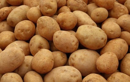 jersey mids potatoes
